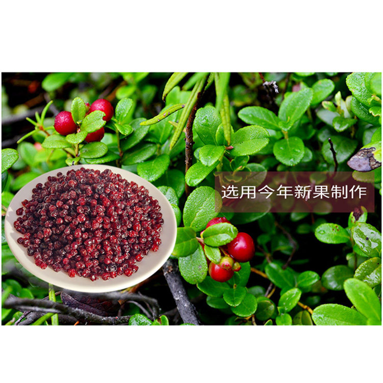Wild Lingonberry Dried Fruit Yagoda 250g with Blueberry Dried Fruit 250g Wild Cranberry Snack Mix specifications