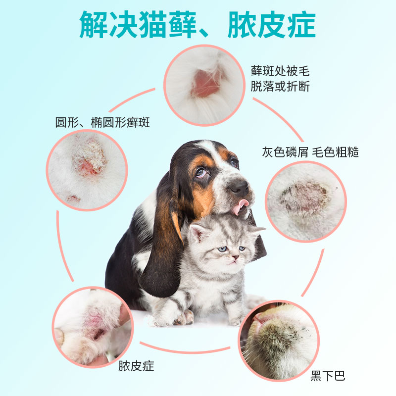 Dogs Dermatology Cat Moss Special Medicine Young Cat Black Chin Barfa Dogfight Dog Leather Chips External Medicine Treatment Spray people