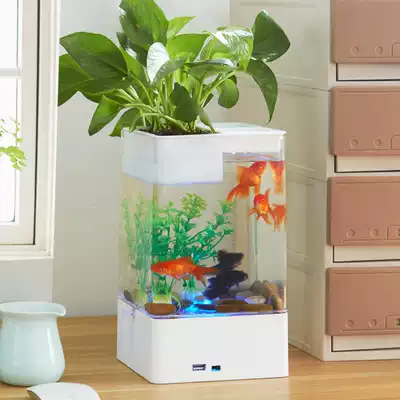 Betta fish tank self-cleaning fish tank Guppy special lazy mini small acrylic water-free office dormitory desktop