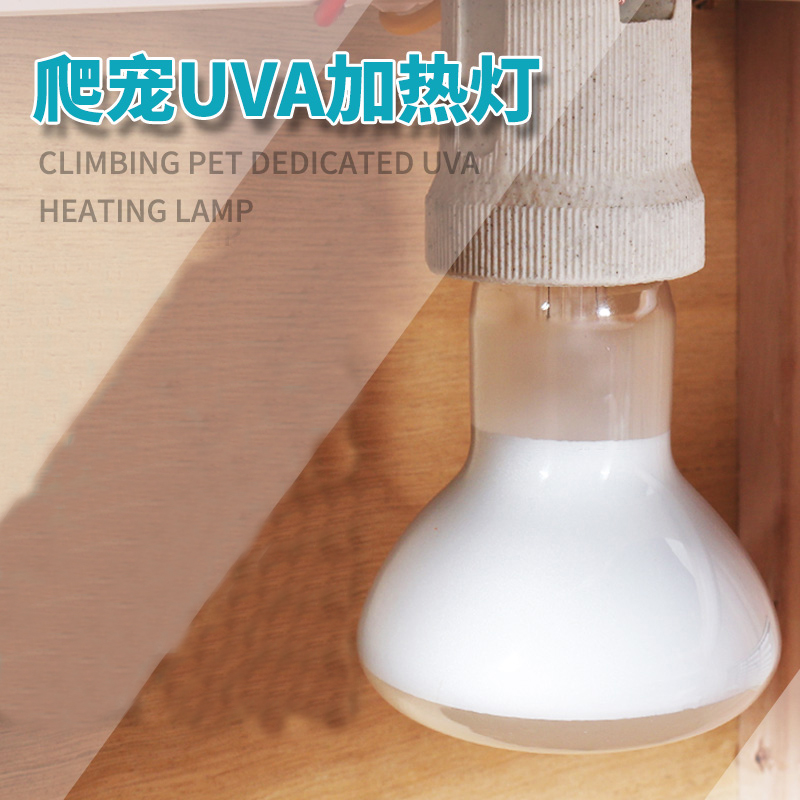Turtle Sun Back Light Uva Light Uva Bulb Sustena Crab Honey Bag Pet Thermostatic Heating Solar Lamp Mane Lizard supplies