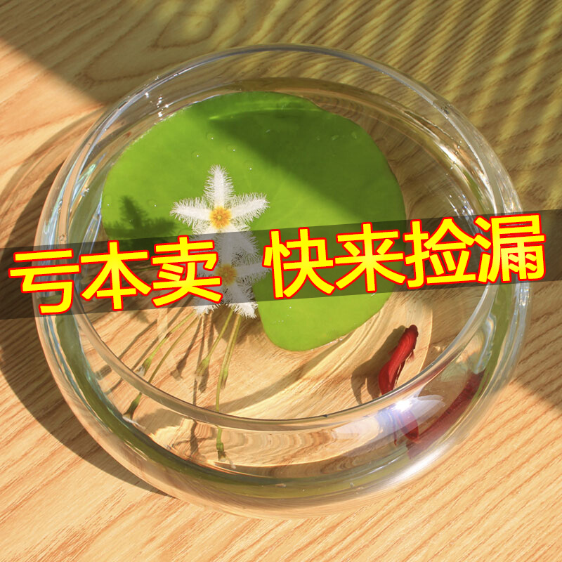 Hydroponic plants and fish co-bred None Seasons Lazy people Green plants Flowers Transparent Containers Aquatic Fairy Potted Flower Pots