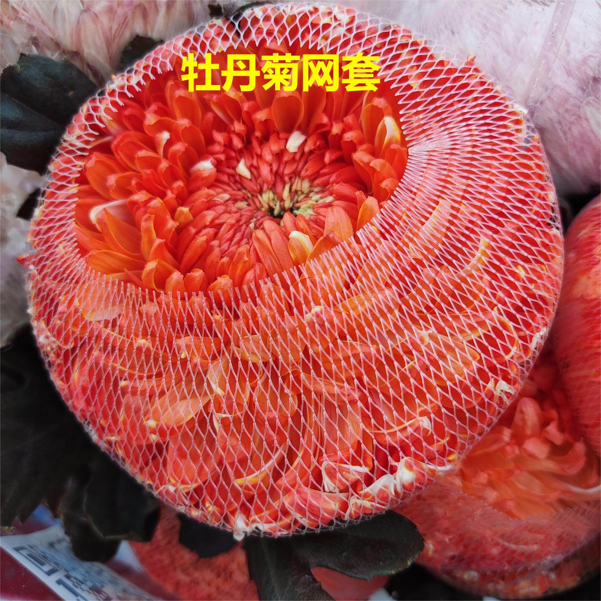 金秋牡丹菊包花运输防炸开保护包装网套 烟花菊防损伤保护网套