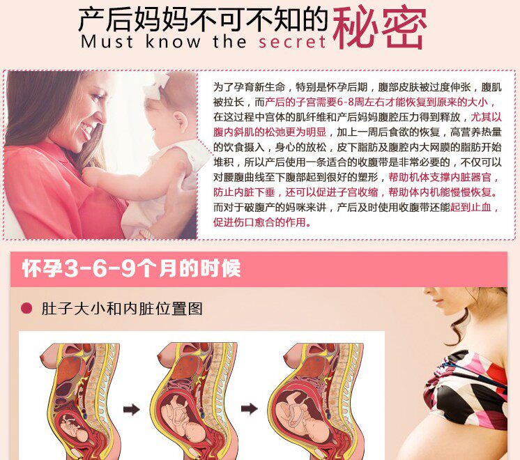 Corset EMPERORFEEL luxueux - Ref 679137 Image 8