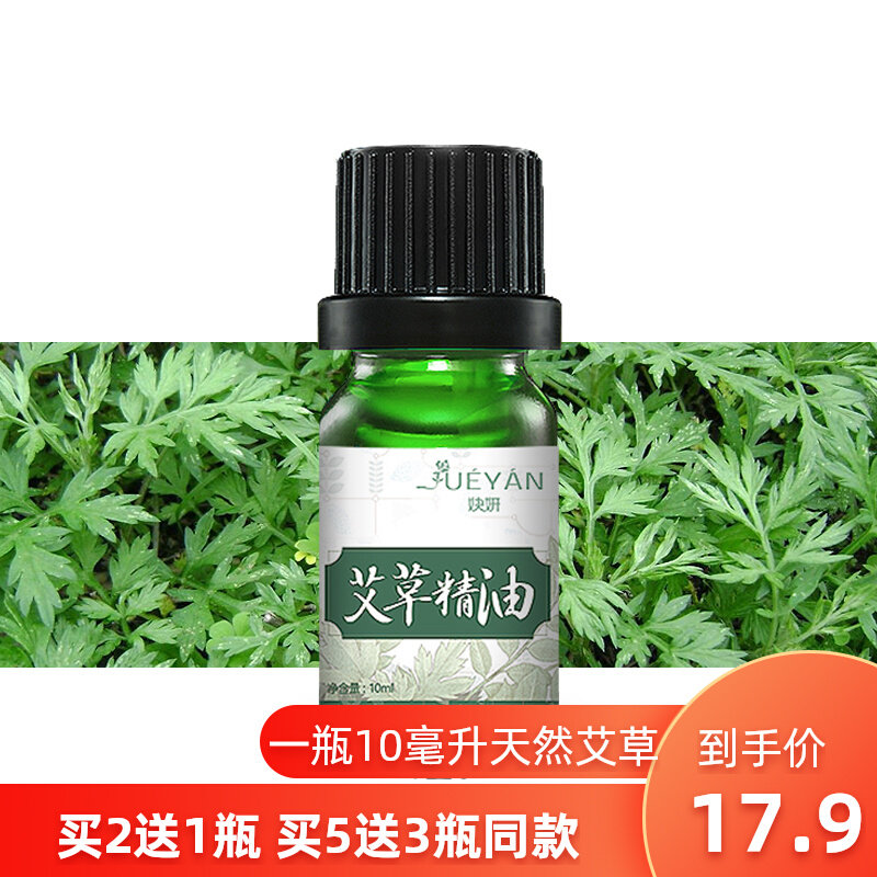 Mugwort essential oil 10ml moxibustion massage scraping physiotherapy moxa massage massage Shujing cold soaking bath high-purity mugwort oil
