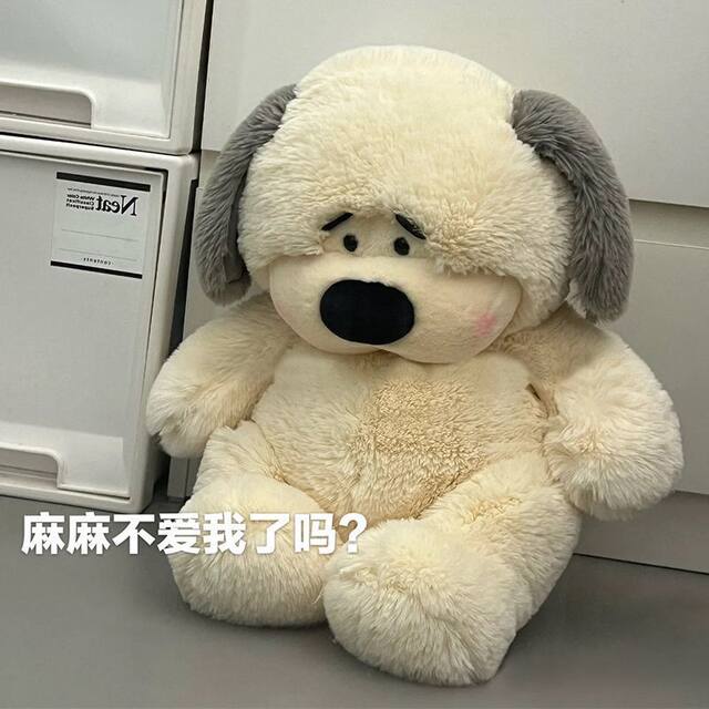 Hong Kong Sc Cute Bean Dog Plush Toy Doll Adorable Cute Puppy Doll Pillow Birthday Gift