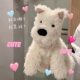 Japanese St Realistic Dog West Highland Puppy Plush Toy Small Doll Cute Puppy Stuffed Animal Birthday Gift