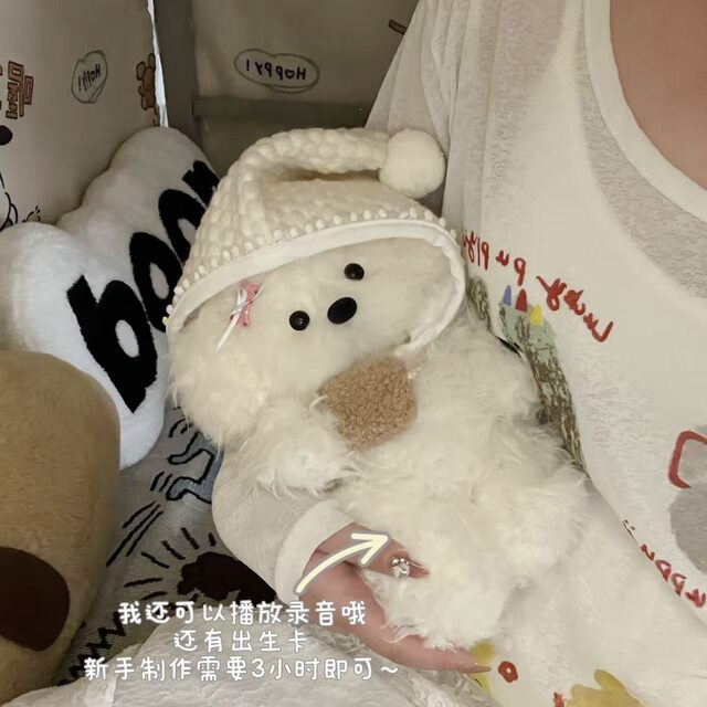 Japanese Sc Cute Companion Puppy Doll Handmade DIY Material Kit with Recording Function, Gift for Girlfriend's Birthday