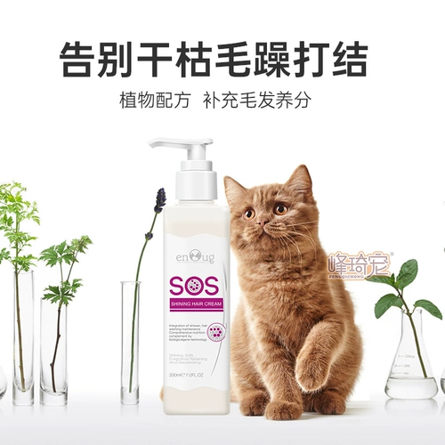 Big Bear Dog Special Porta Pet Pets Пушистый пух