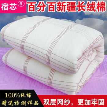 Xinjiang quilt spring and autumn students and children thickened