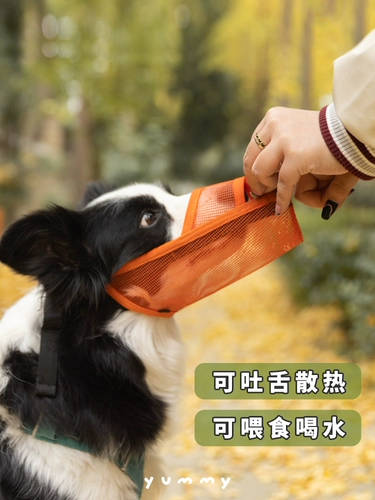 Корпус собаки анти -планом по употреблению антирадома, ошибочный питомец большой щенок щенок для собак