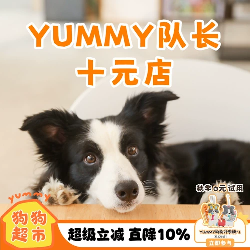 Вкусный капитан 10 юань качество магазина не сбрасывает с дисконтировки вокального вокала Pet Dog вокальный вокальный вокал, Toys Special Price