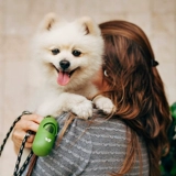 earthrated Собаки с подборкой дерьмовой сумки собирают мешки домашних животных, чтобы вытащить артефакты, чтобы вонючие и стерилизовать, чтобы защитить землю