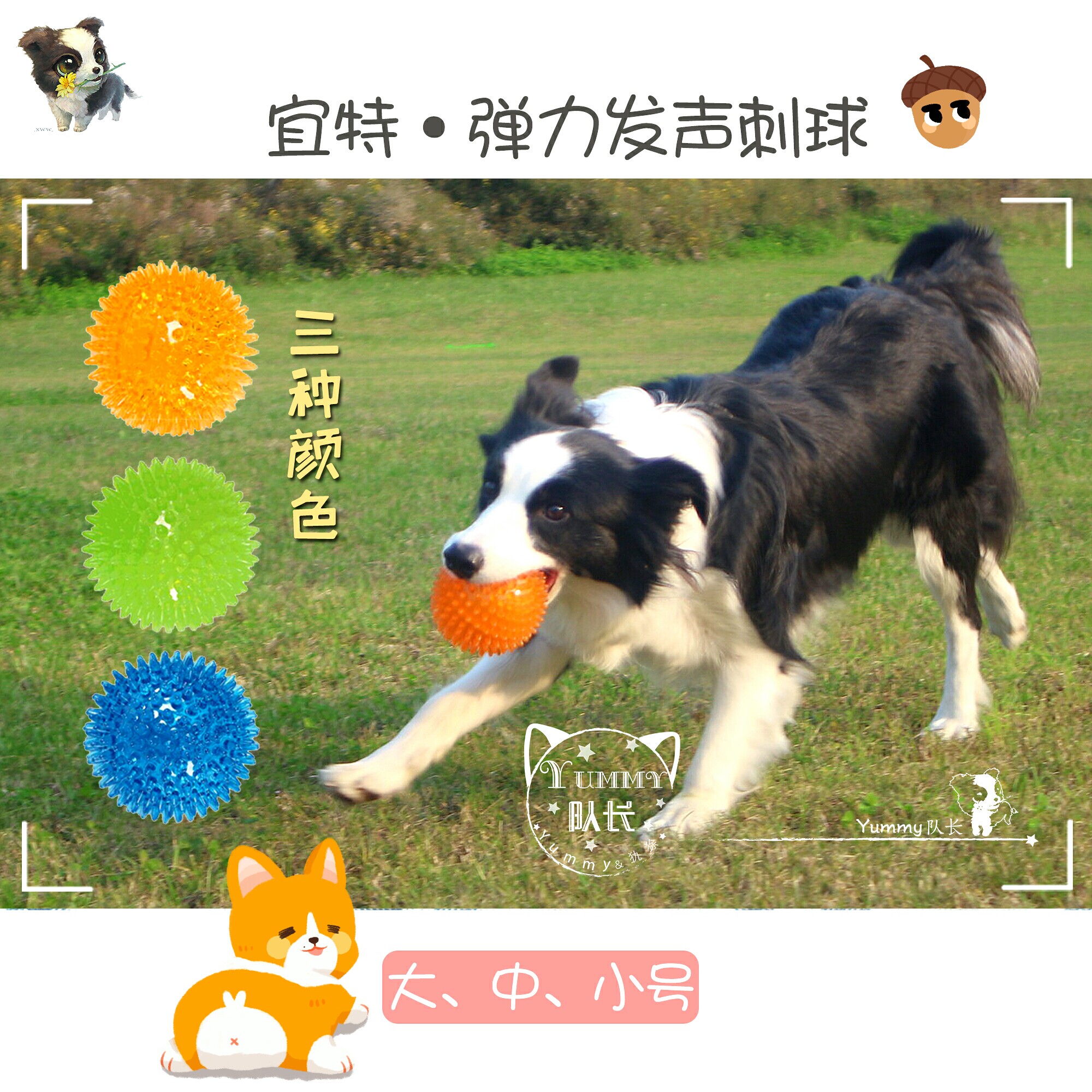 Iite elastic sounding thorn ball pet dog large dog puppies tour training bite-resistant interactive retrieval toy