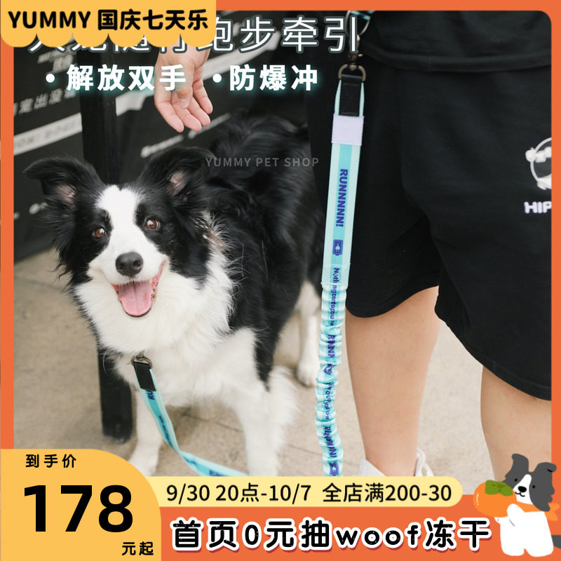 jc house liberates both hands, explosion-proof dash leash, human pet accompany running, pulls border collie big dog rope