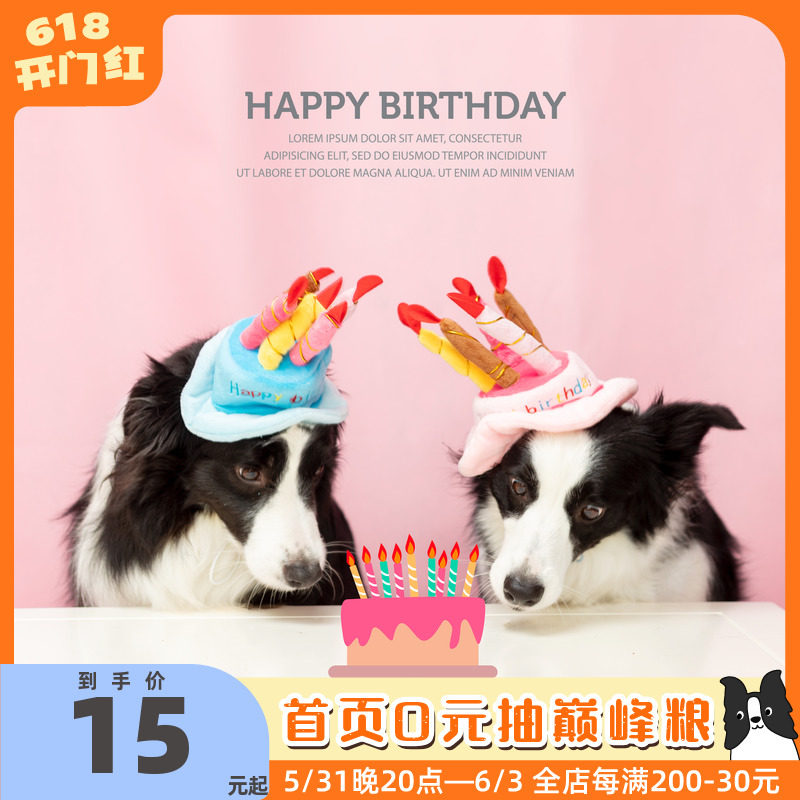 Pet Candles Cake Hats Cute Trinkets to Cute Birthday Hats Birthday Little Pooch Yummy Captain