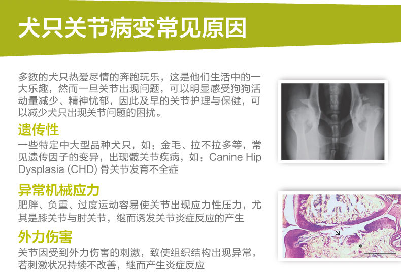 Meds Shark Chondroitin Cộng với chó con Canxi chăn thả bảo vệ chó chó hông mèo xương chày chống viêm - Cat / Dog Health bổ sung sữa cho chó mèo