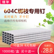 Factory direct sales tied branch machine nail Grape tomato tied branch machine Tape tied vine machine tied machine 604C nail