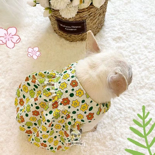 Французская одежда летняя тонкая юбка для собачьей жилетку для тыквы