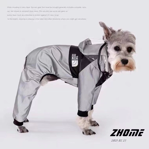 Дорог собака маленькая собака Тедди Корги на четыре фута водонепроницаем