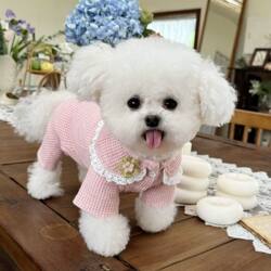 Pet clothes Fall and winter New arrival waffle doll collar Cardigan pullover four-legged clothes Heattech dog cat clothes