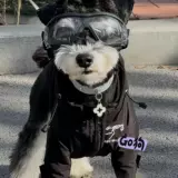 Куртка для собак, осенне-зимняя плюшевая плюшевая одежда для домашних животных, бишон шнауцера, непромокаемая теплая одежда