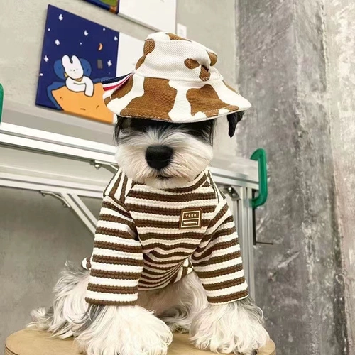 Петучная одежда осень и зимняя толстое дно Свитер Тедди Шерри Белиби Беллы, маленькие и средние собаки, кошки и собаки