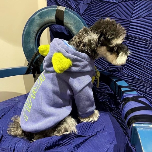 Демисезонная флисовая удерживающая тепло толстовка с капюшоном, осенний сезон