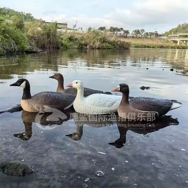 Exported to Europe and America, Garden and Courtyard Landscape Photography Backdrop, Foldable and Portable, High-Simulation Inflatable Floating Soybean Goose Model
