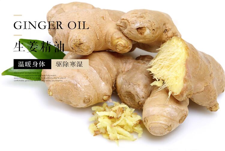 Tinh dầu gừng TANIA TANG 10ml Chiết xuất siêu tới hạn làm ấm cung điện giúp tiêu hóa lạnh dau tram