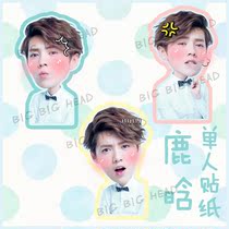 LUHAN LUHAN notebook Handbook sticker luggage waterproof sticker not cut need to be cut by yourself