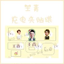 Wang Qing charger charging head data cable leather sticker protection sticker