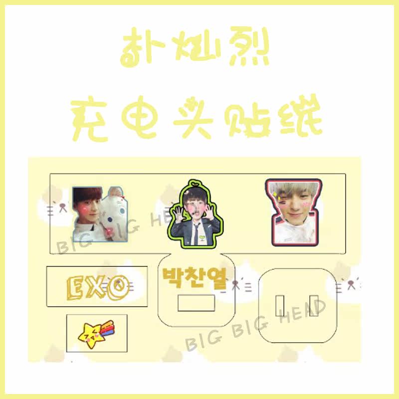 EXO Piao Canlie Chanyeol charger charging head data line leather stripe sticker protection