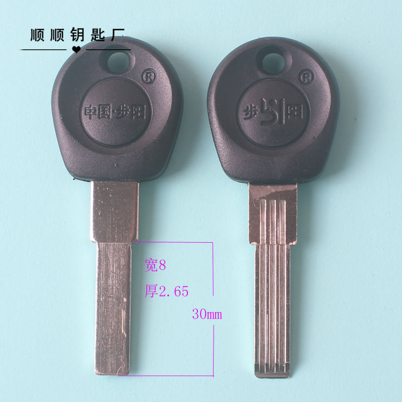 20 51 flat double row of two holes with two holes security door key disc belongs to the material key die locksmith consumables 