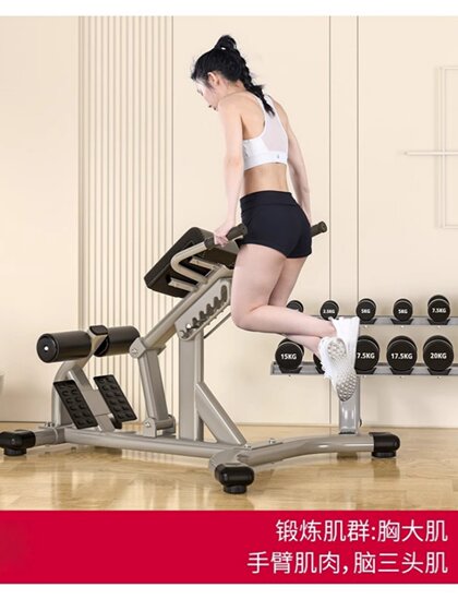 Gym Goat Back Extension Multifunctional Roman Chair Home Foldable Sit-Up Board Abdominal Board Waist Training Equipment