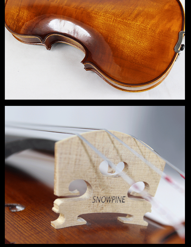 Mpv520 description_11.gif