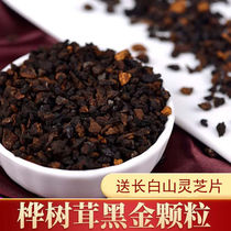 Birch Furry Black Gold Grain Wild Birch Brown Pore Fungus Tea Russia Imports White Birch Furry Natural Insulin