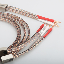 viborg Vyborg SP-VS903 silver plated square 8 core copper fever amplifier main sound box wire horn wire