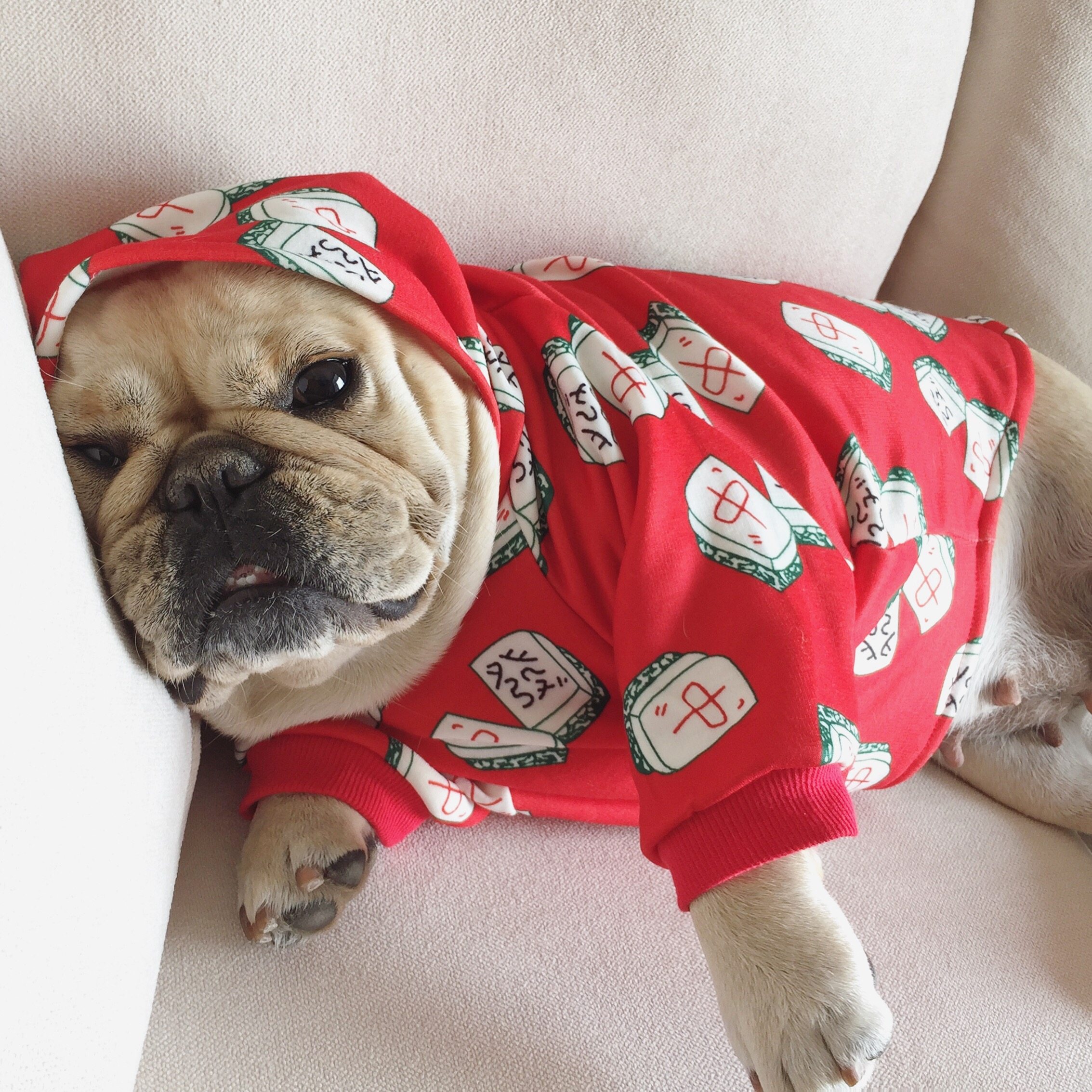 Clear Barn Faro New Year Dress Bago New Year Dress Pets Dogs New Year Dress Dogfight Plus Suede Lagoon-Taobao