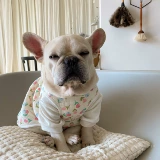 Демисезонная юбка, удерживающее тепло платье, осенний сезон, в цветочек