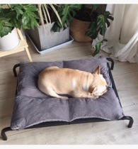 Pet dog bed dog bed dog kennel camp bed bed frame moisture-proof summer breathable nest four seasons universal nest