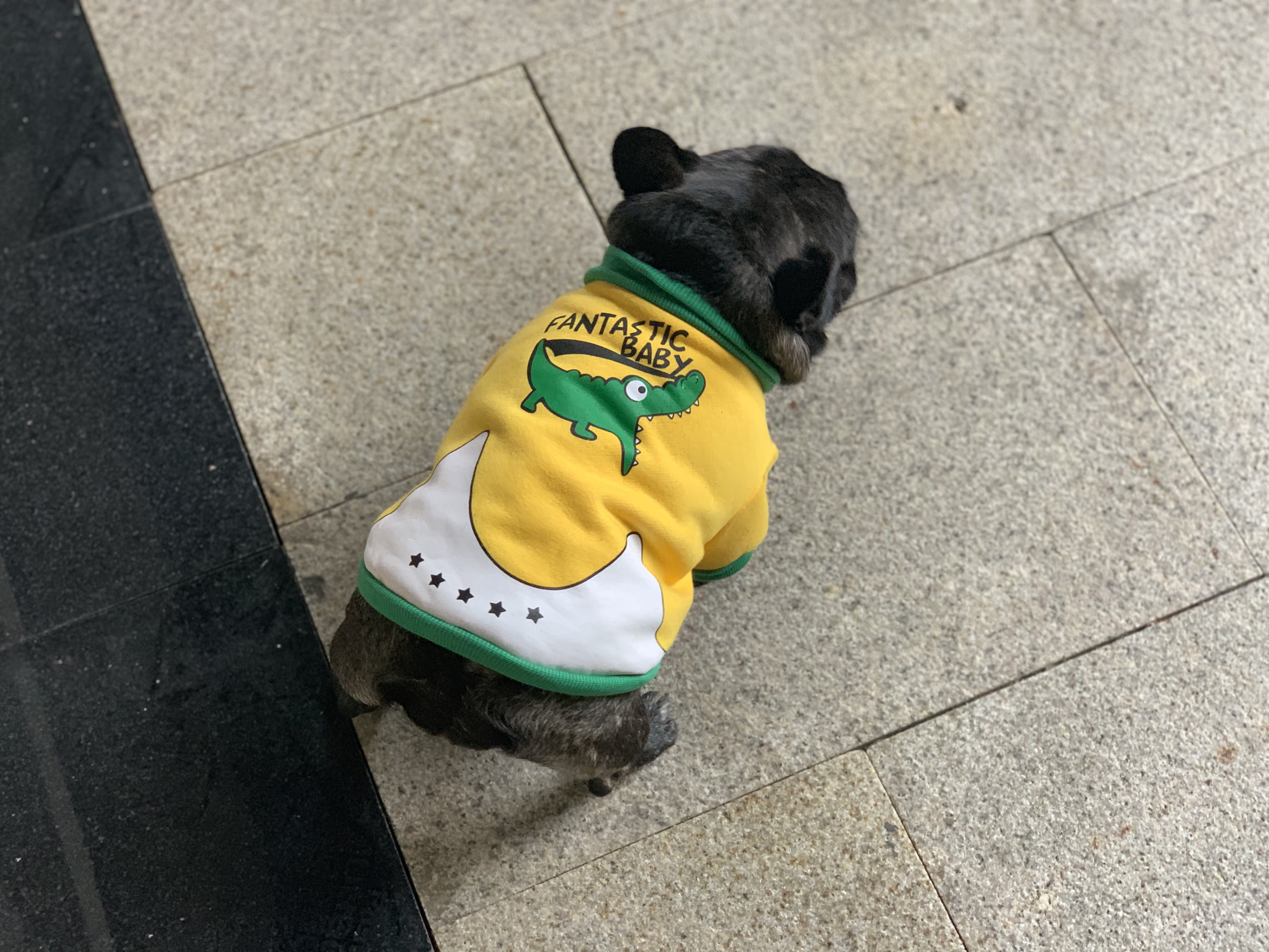 Fardou Clothes Bagbrother Clothes Bullfighting Bull Plus Velvet Clothing Pet Dogs Little Crocodile Clothes Autumn And Winter Warm