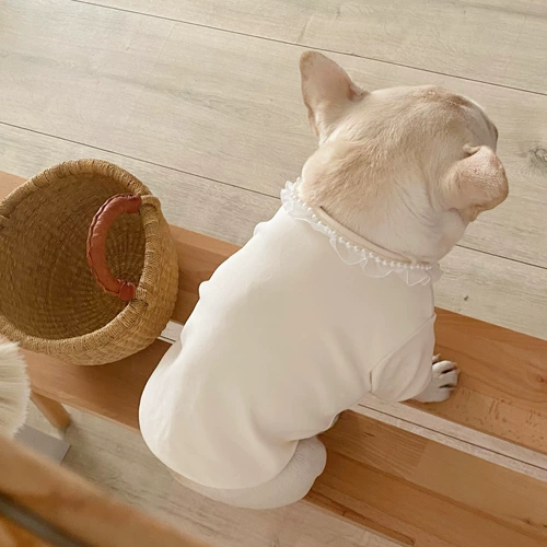 Фамиссия одежды мопс одежда для любимой собаки базовая рубашка