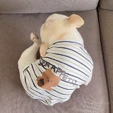 Летняя майка, летний жилет, с медвежатами