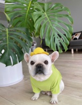 Fardou Clothes Bagbrother Clothes pets Puppy clothes Fou Bottoms Jersey Bacon Spring Autumn Clothes 