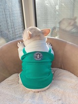 Faro Sweater Bagbrother Sweater Bull Clothing Star Dad Sweater Pet Pooch Dog Autumn Winter Warm 