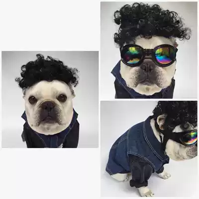Dabo Wig Headwear Bago Wig Pet Dog Wig Headwear Glasses Sunglasses Pet Headdress