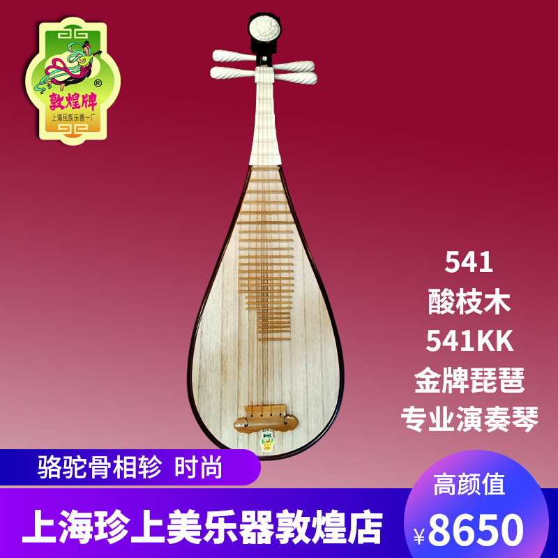 Dunhuang Pipa 541KK gold medal grade sour branch wood camel bone national professional performance test fashion classic