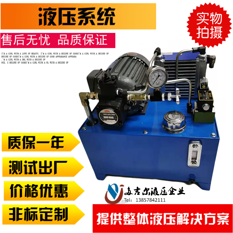 0.75kw Hydraulic Station 1.5kw Hydraulic System CNC Lathe VP20 Oil Pump 40L 60L Hydraulic Pumping Station