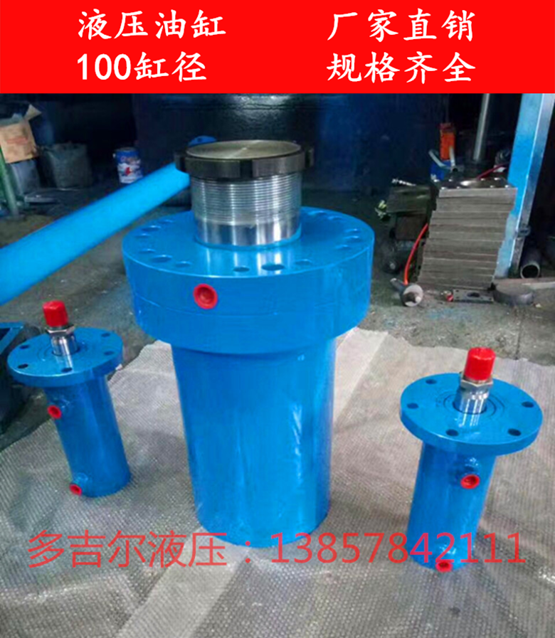 Hydraulic ram 100 cylinder diameter 100200300400500600700800900 1000