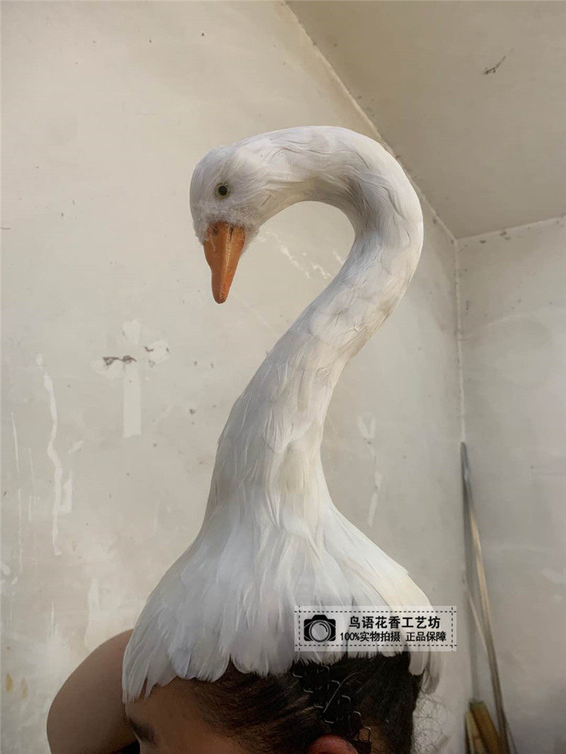 Emulated feather swan film and video shooting props garden decorative feather decoration pendulum decoration Goose Lake Feather head decoration